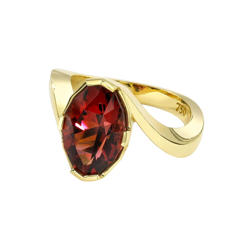 The Source Ring featuring a Rubellite Tourmaline